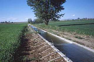 Water Resources